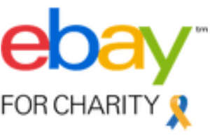 Ebay For Charity