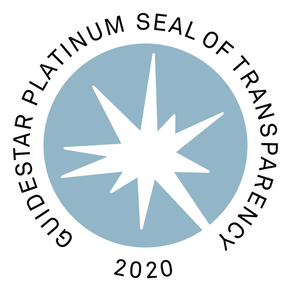 2020 Guidestar Platinum Large